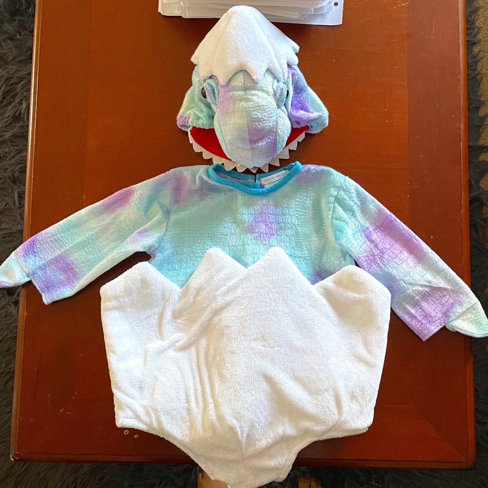 Pottery Barn Kids Baby Dino Egg Halloween Costume